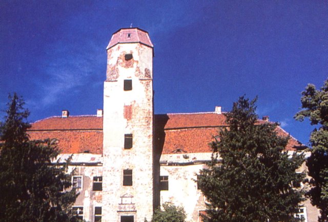 sluzejowdzs06.jpg